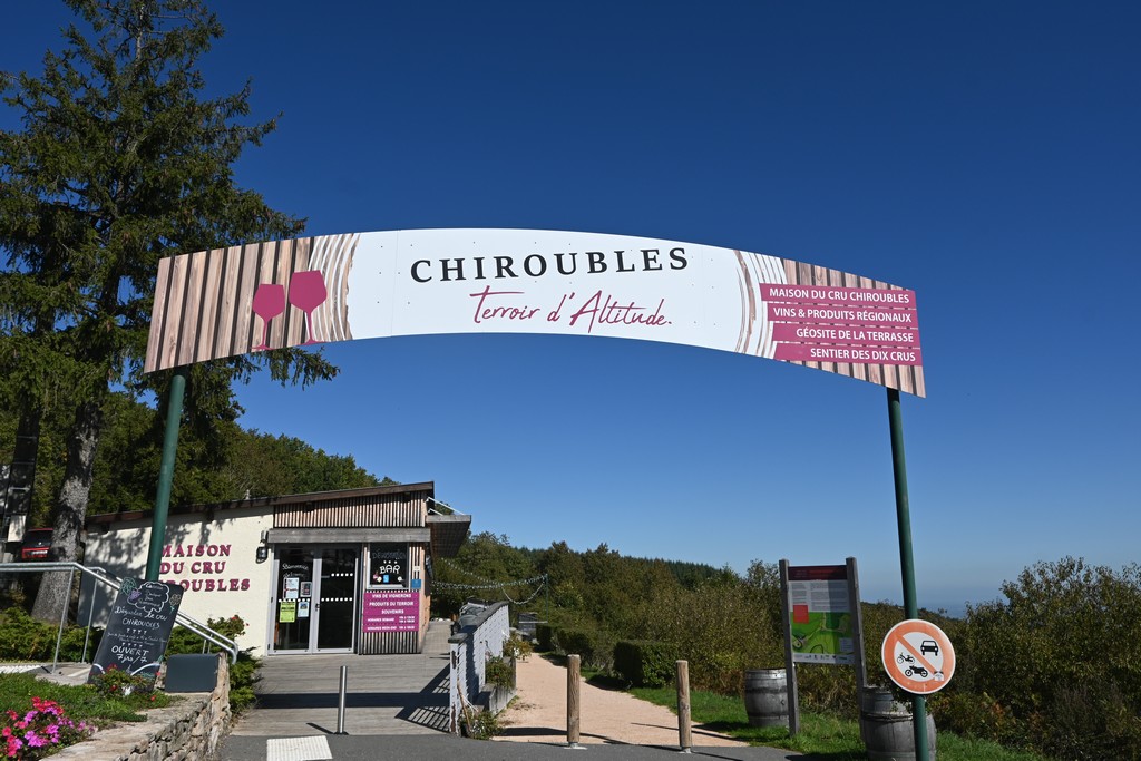 2022_Beaujolais