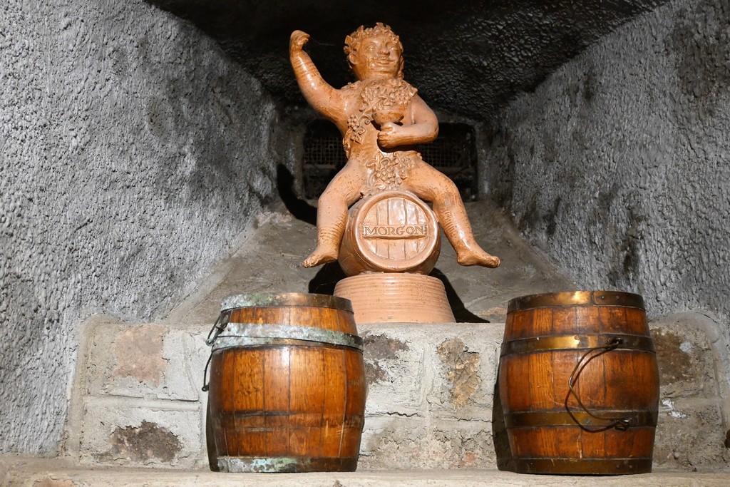 2022_Beaujolais
