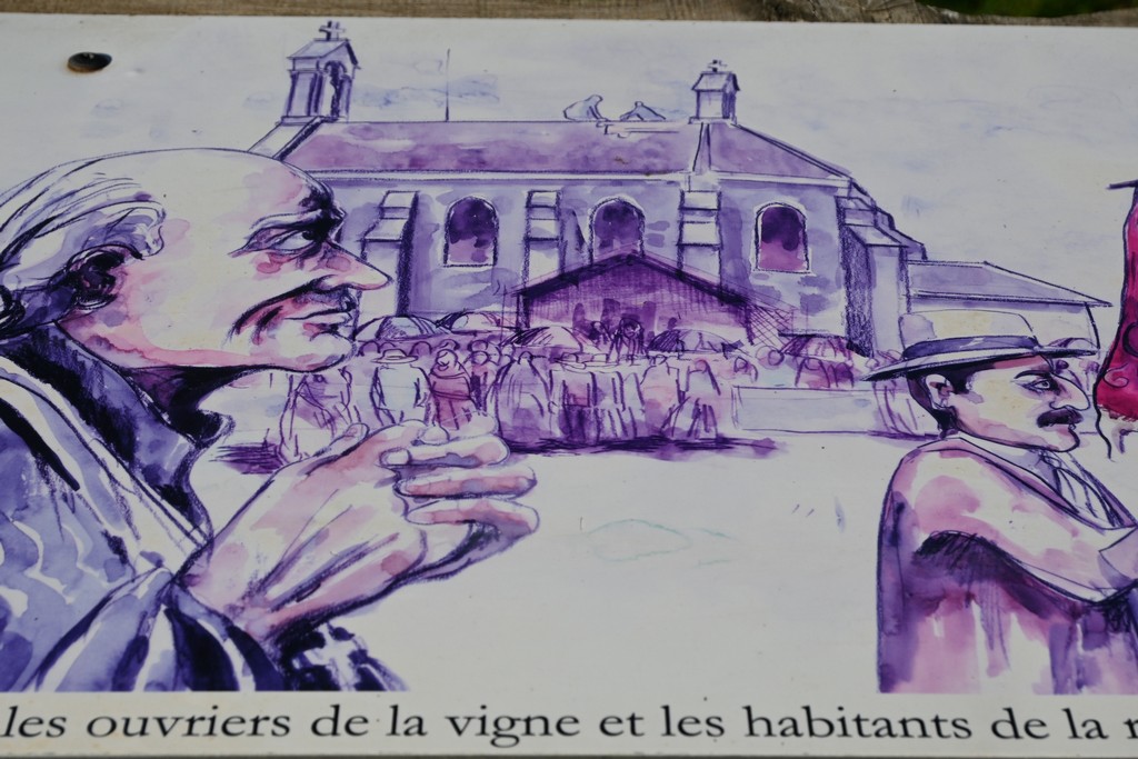 2022_Beaujolais