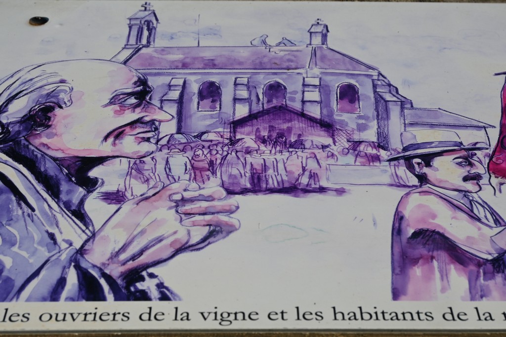 2022_Beaujolais