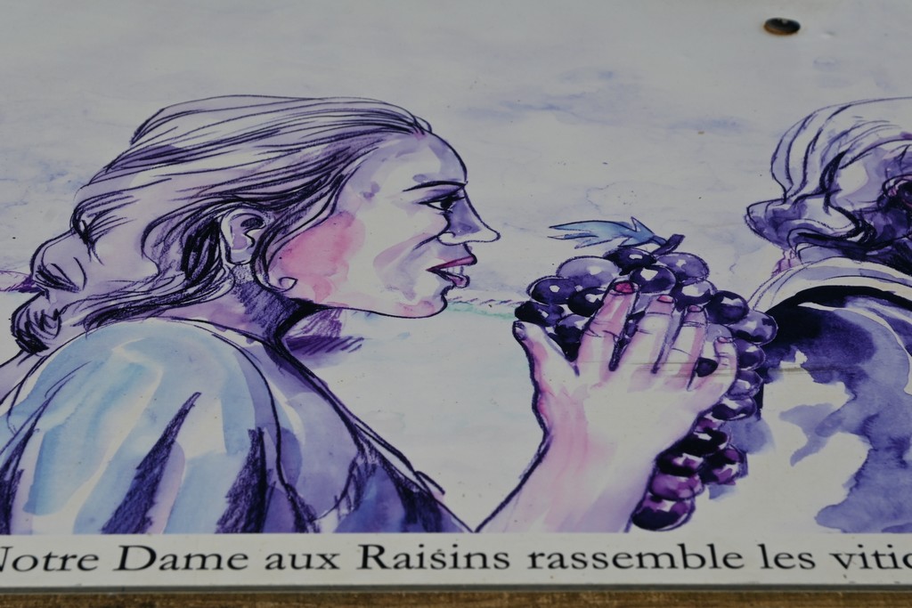 2022_Beaujolais