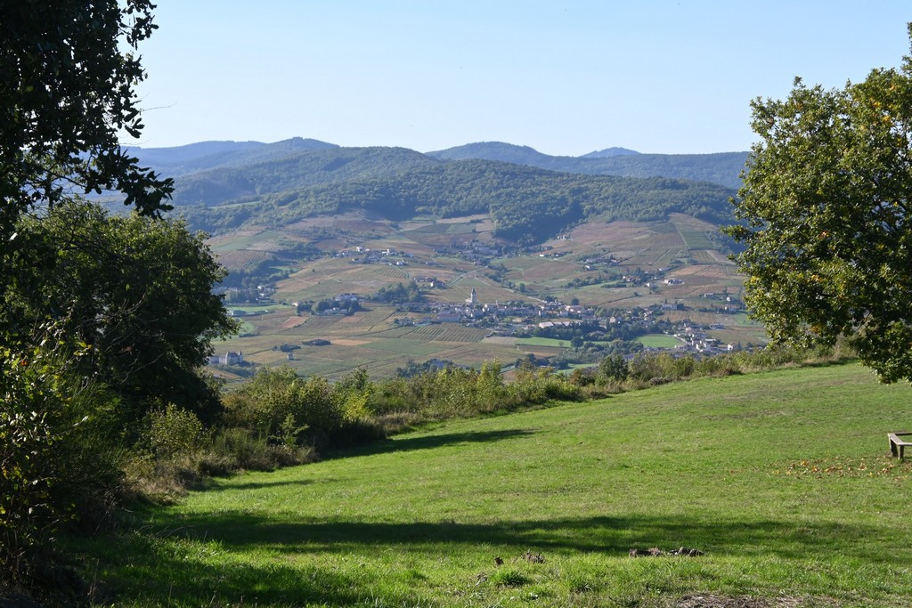 2022_Beaujolais
