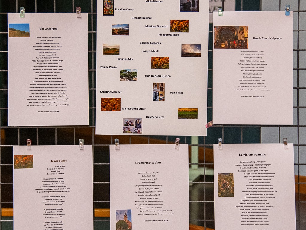 Photos Vernissage
